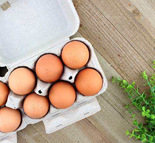 Half Dozen Egg Cartons (30-Pack)