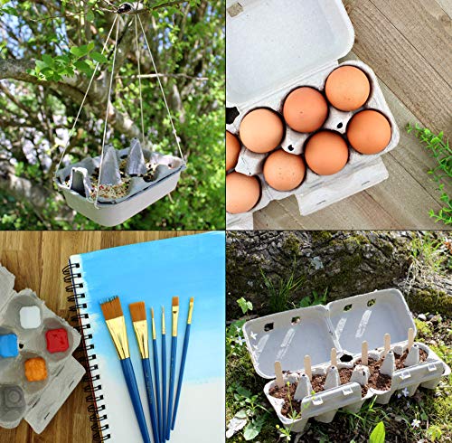 Half Dozen Egg Cartons (30-Pack) - CBKit018