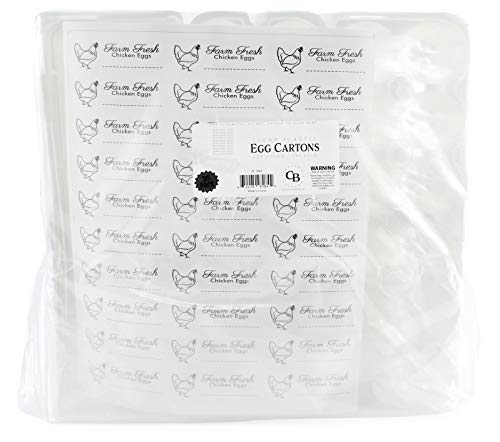 Clear Plastic Egg Cartons (20-Pack)