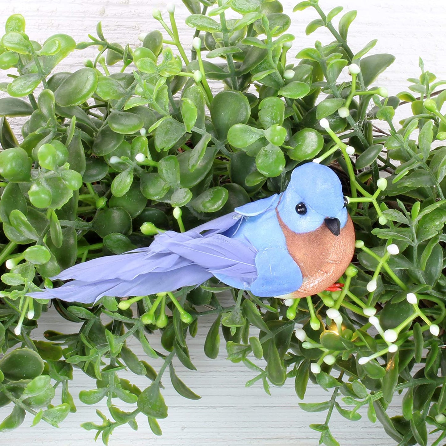 Imitation Bluebirds (Case of 900) - SH_1553_CASE