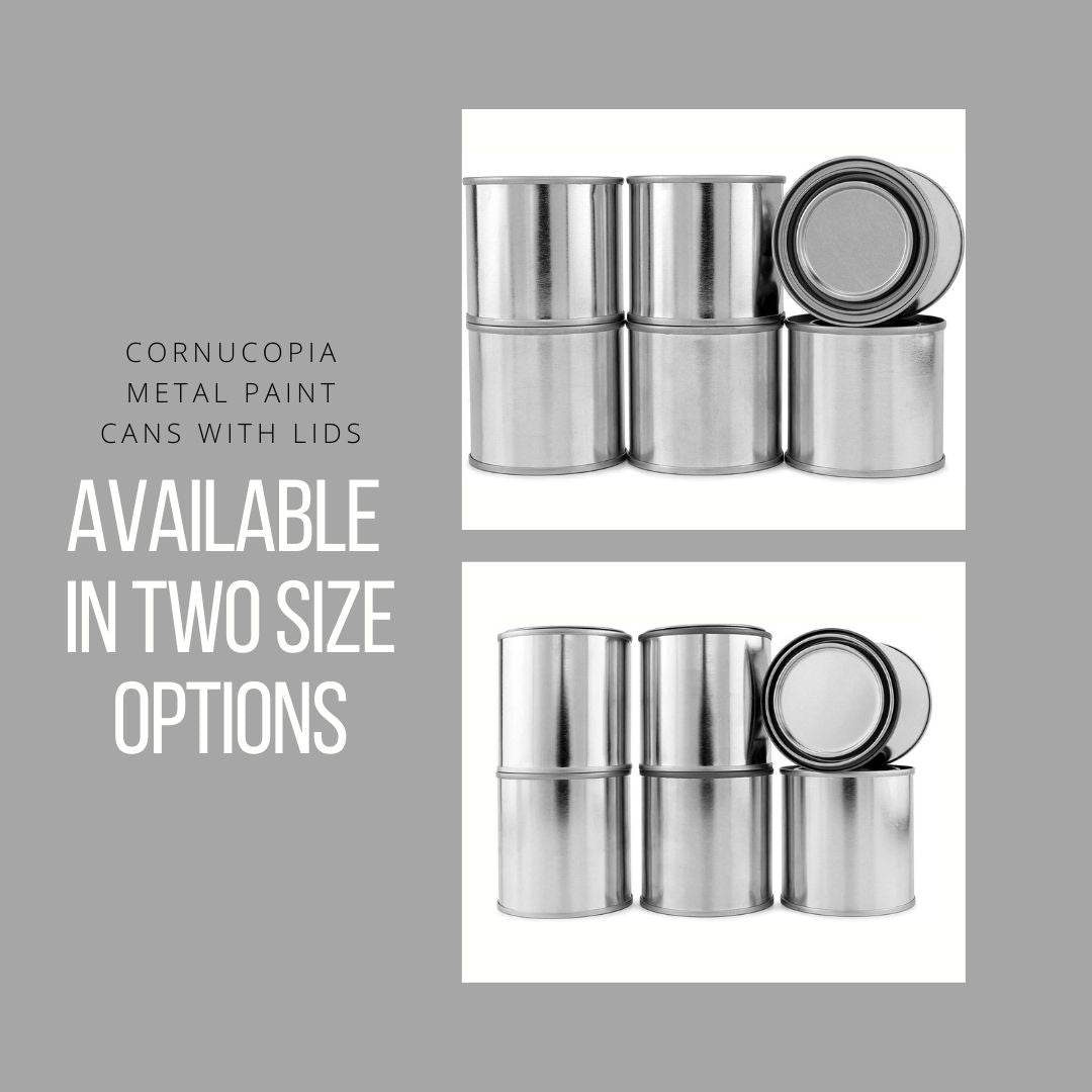 Metal Paint Cans with Lids (1/4 Pint Size, 6-Pack) - sh1751cb0