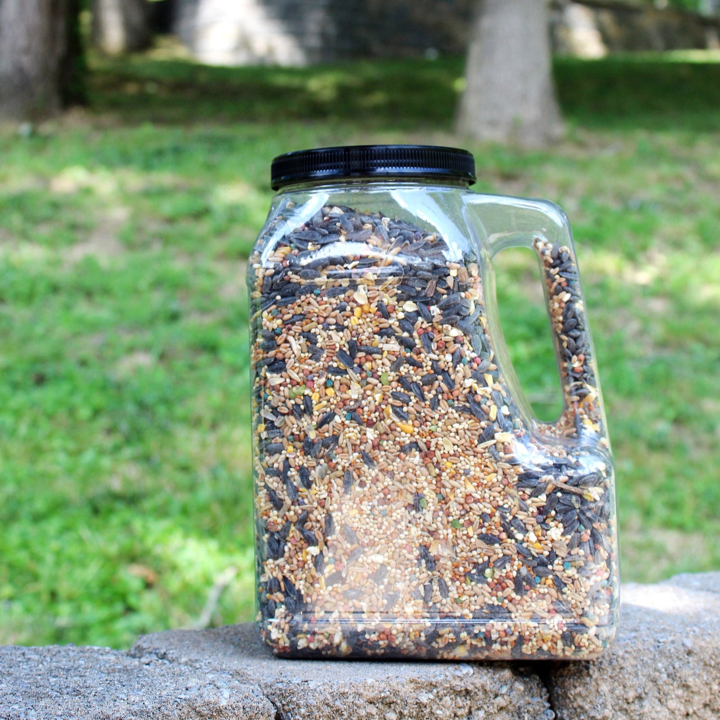 Clear Plastic Gallon Jar with Handle and Airtight Lid (2-Pack) - CBKit012