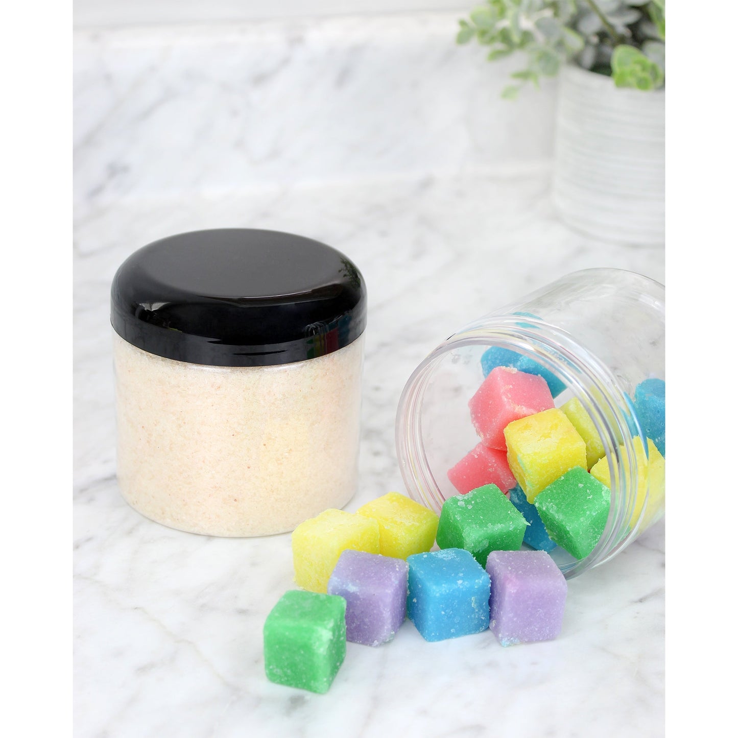 16oz Clear Plastic Jars w/Domed Lids (6 pack) - sh1324cb016
