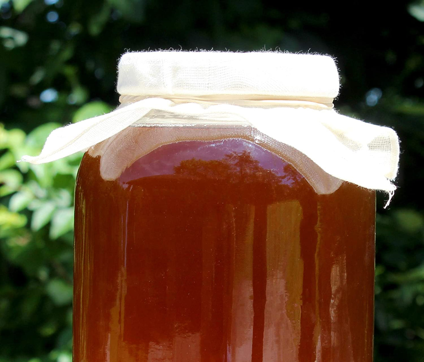 Two 1-Gallon Glass Kombucha Jars (2-Pack)