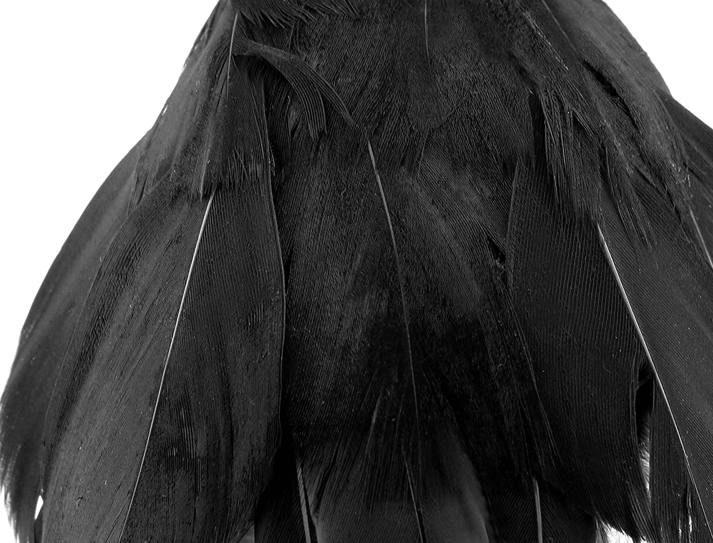 4in Black Artificial Crows (6 Pack) - sh1331cb0Crow