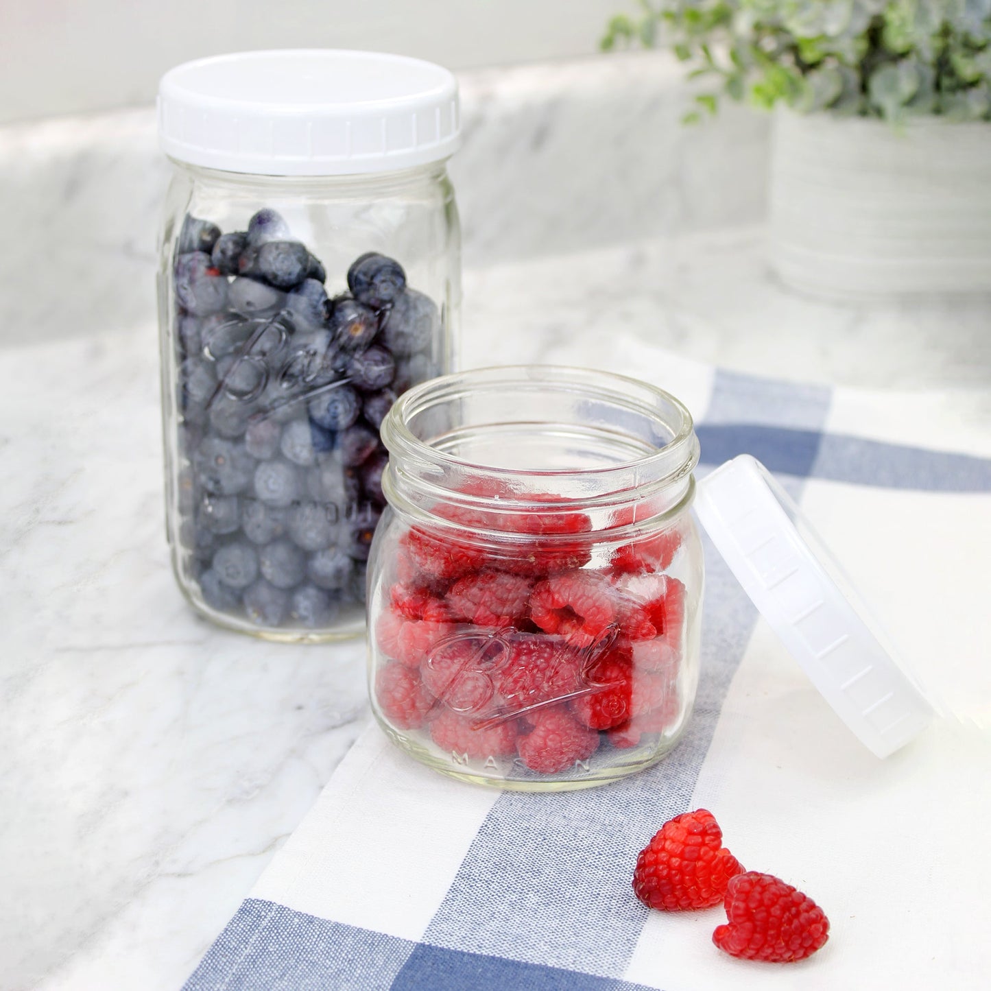 Wide Mouth Plastic Mason Jar Lids (Case of 720) - SH_1184_CASE