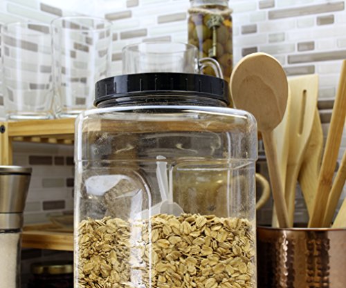 Square Gallon Size Clear Plastic Canisters (2-Pack)