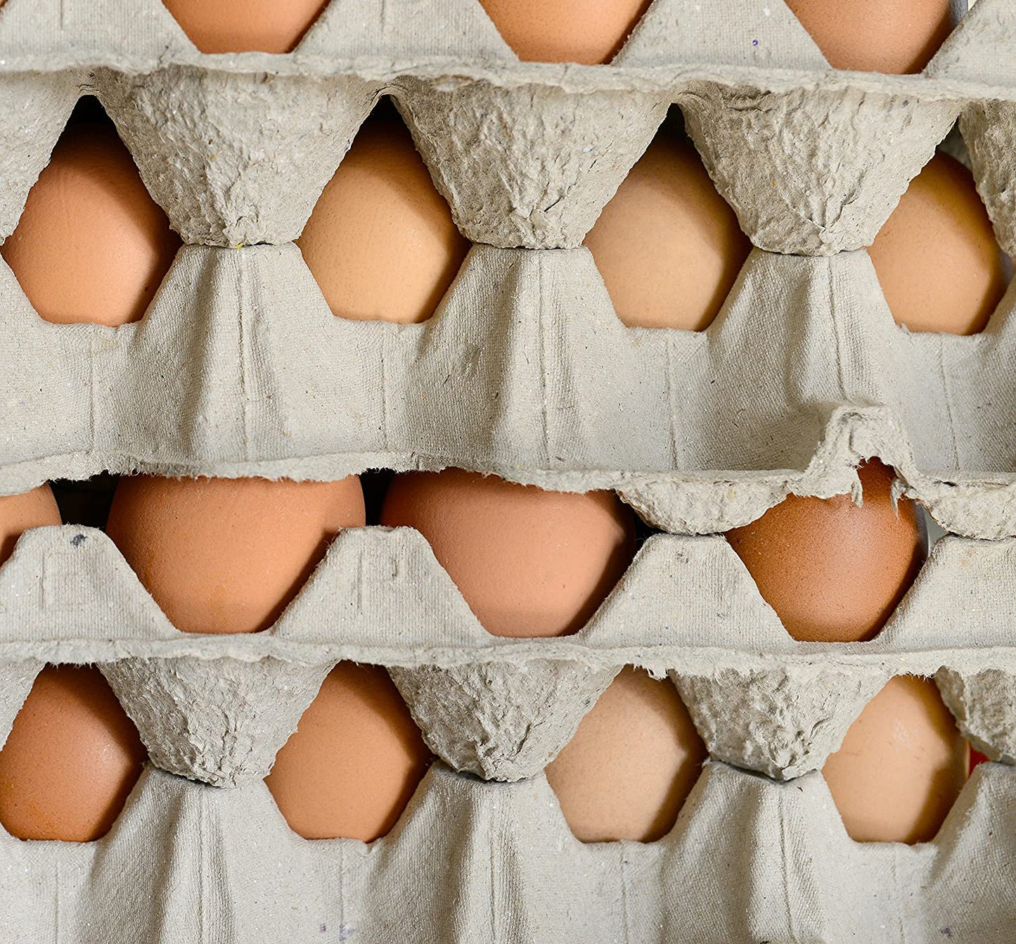 30-Count Egg Flats (18 Trays)