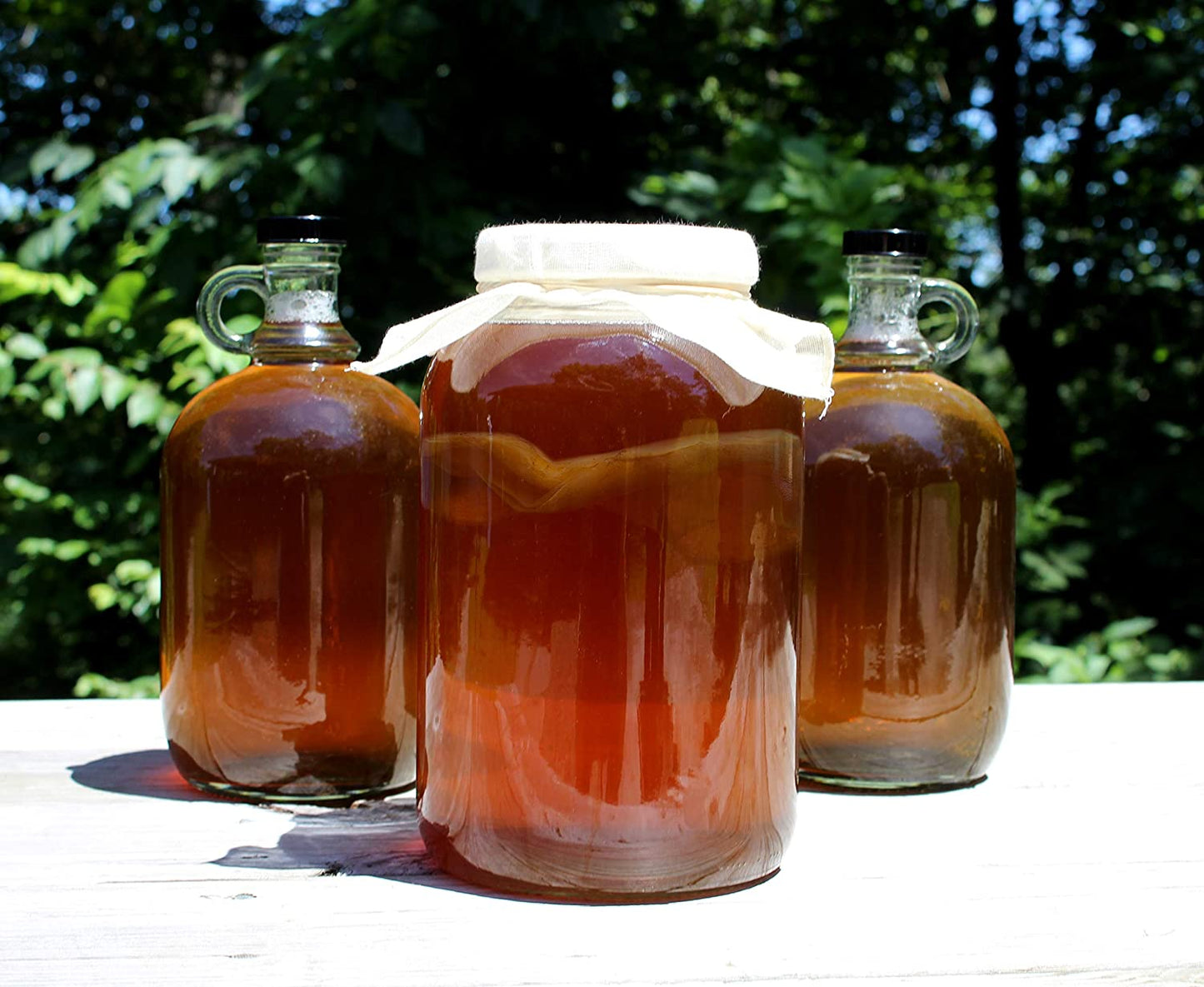 1 Gallon Glass Kombucha Jar