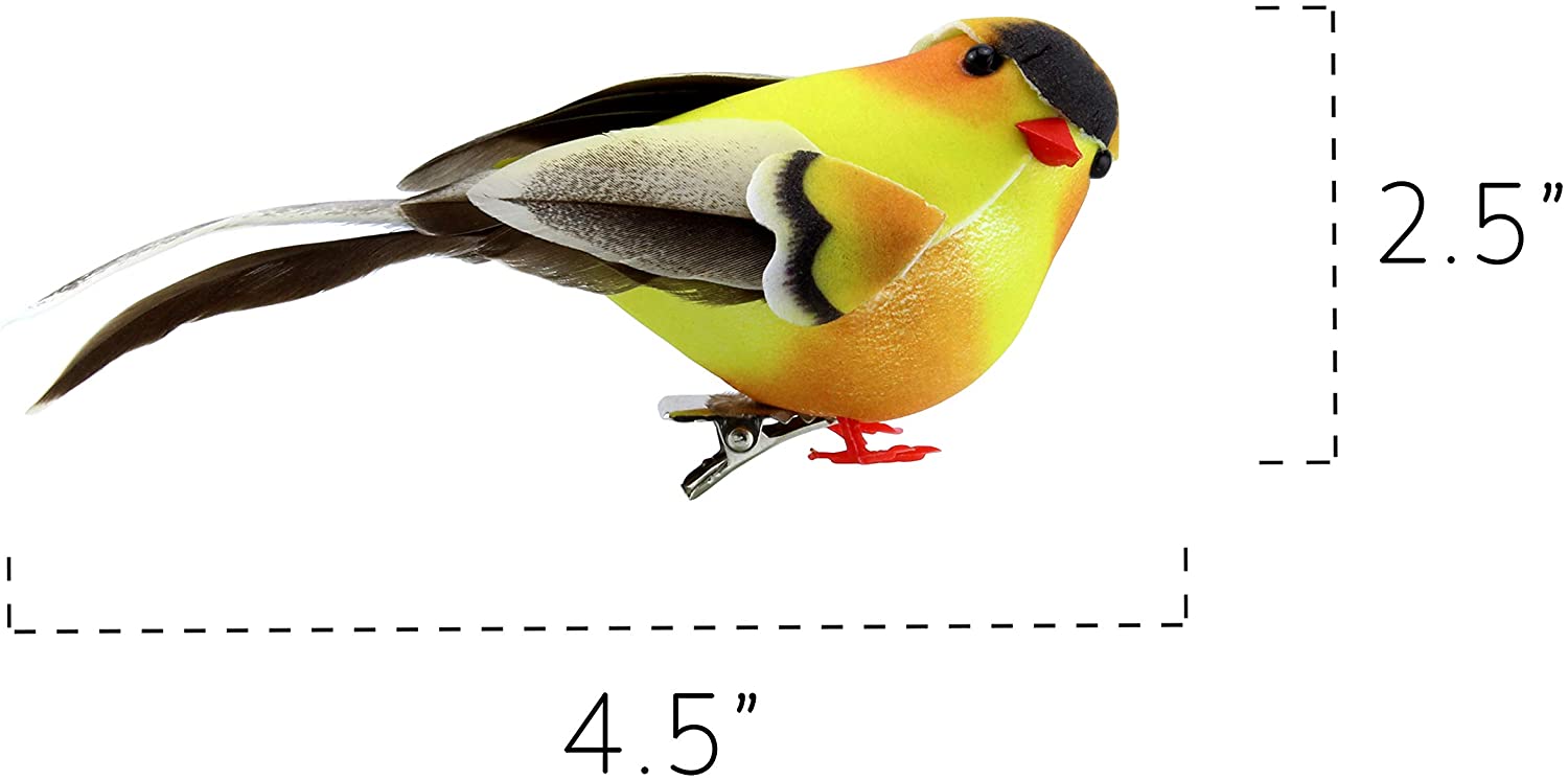 Yellow Goldfinches (6-Pack) - sh1554cb0GoldF