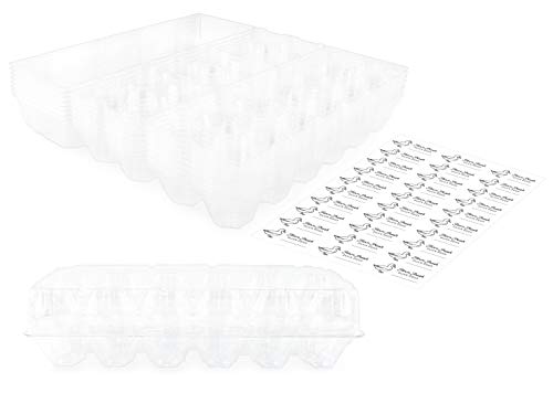 Duck Egg Cartons (8-Pack)