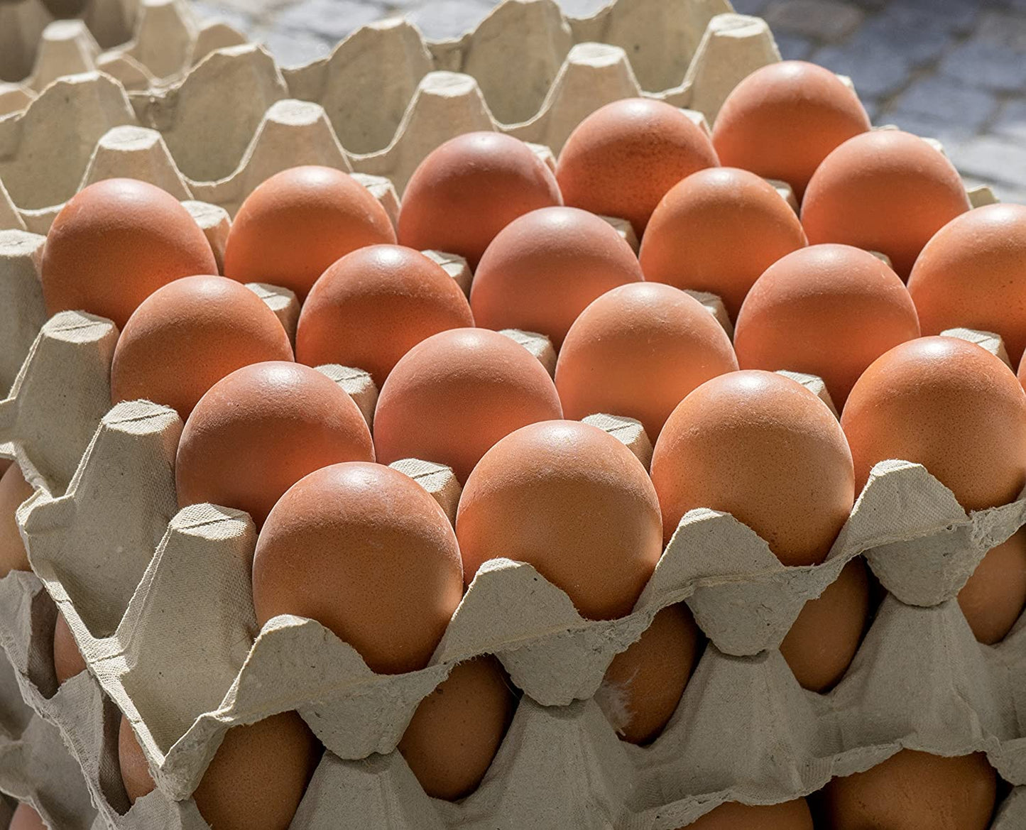30-Count Egg Flats (18 Trays)